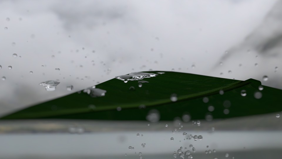 Rainy Leaf preview image 1